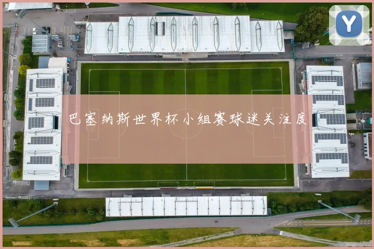 巴塞纳斯世界杯小组赛球迷关注度