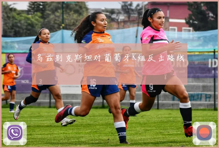 乌兹别克斯坦对葡萄牙K组反击路线