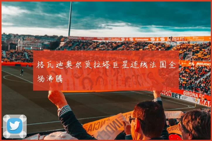 格瓦迪奥尔莫拉塔巨星连线法国全场沸腾