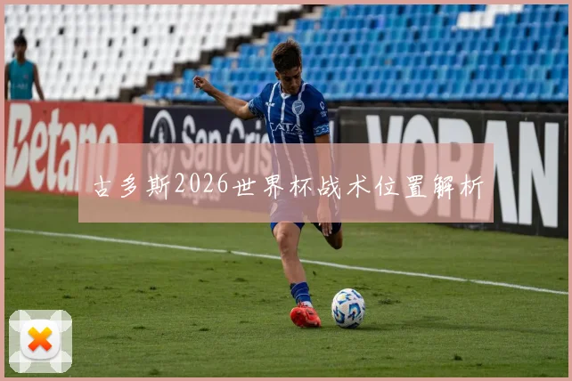 古多斯2026世界杯战术位置解析