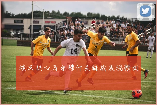埃及核心马尔穆什关键战表现预测