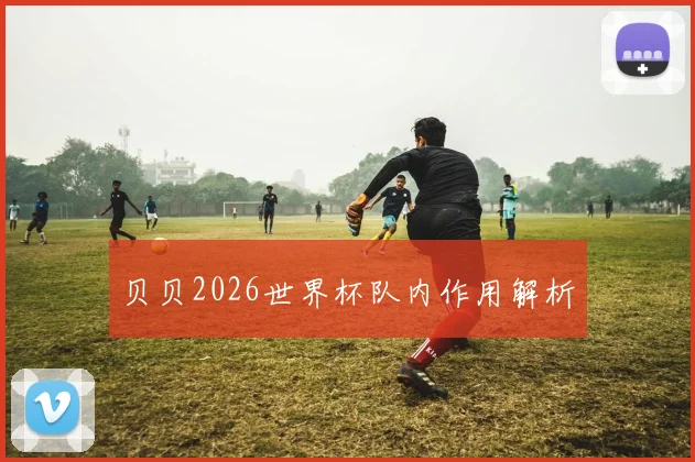 贝贝2026世界杯队内作用解析