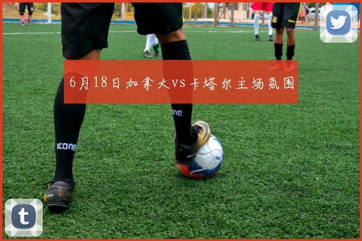 6月18日加拿大vs卡塔尔主场氛围