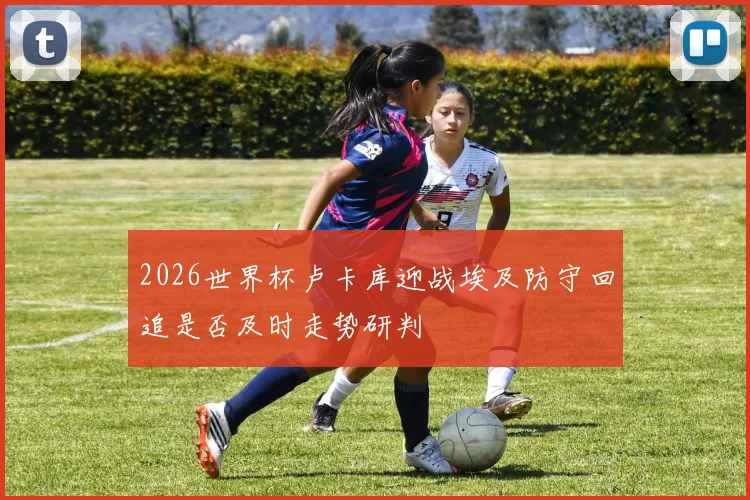 2026世界杯卢卡库迎战埃及防守回追是否及时走势研判