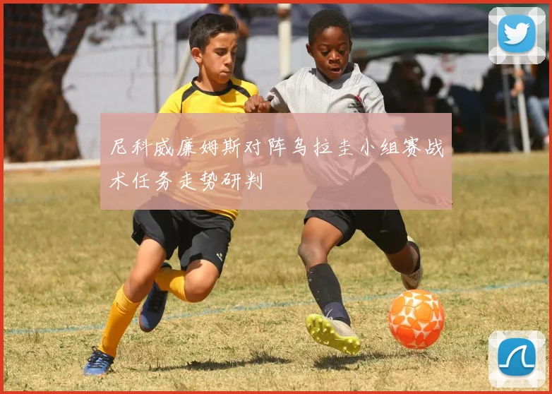 尼科威廉姆斯对阵乌拉圭小组赛战术任务走势研判
